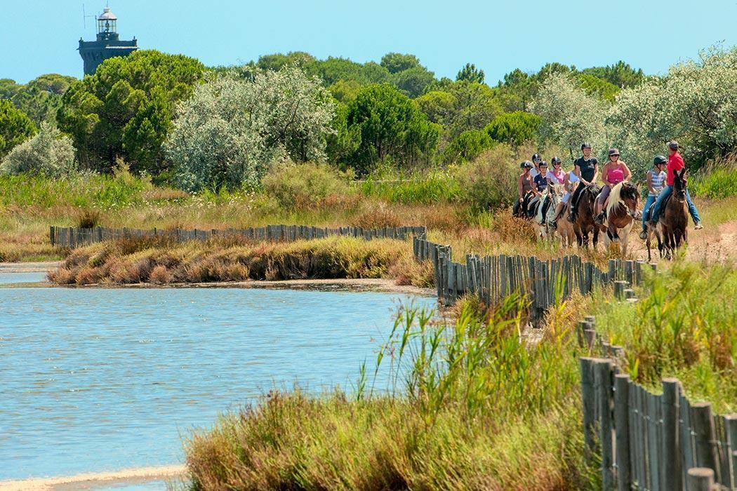 Terres de Camargue