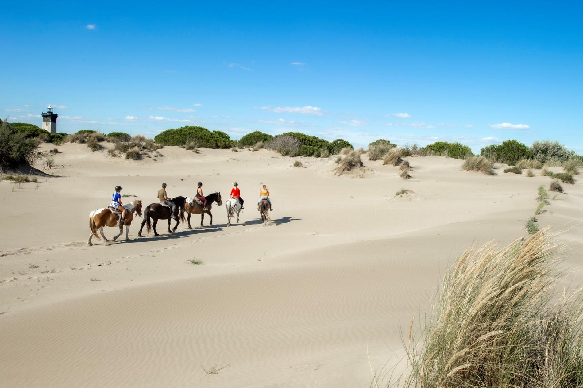 Plage et dunes